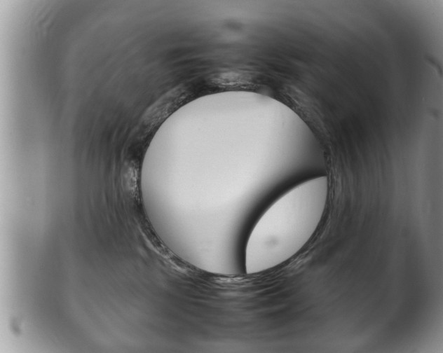 X0000100480281200806130739