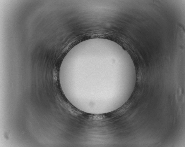 X0000100480282200806130739