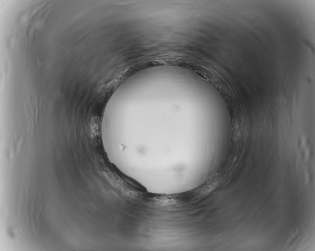 X0000100480284200806130739