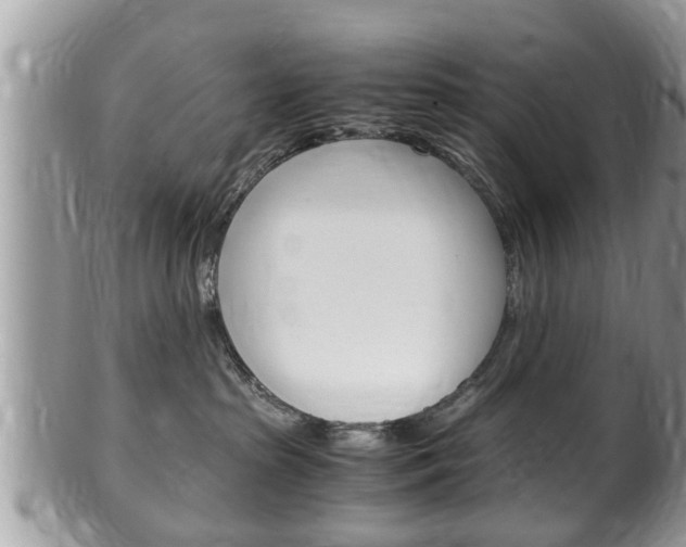 X0000100480285200806130739