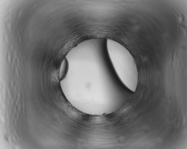 X0000100480286200806130739