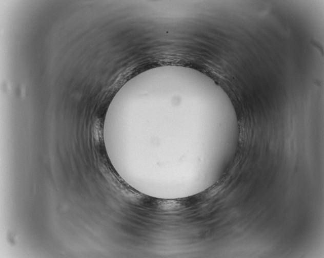 X0000100480287200806130739