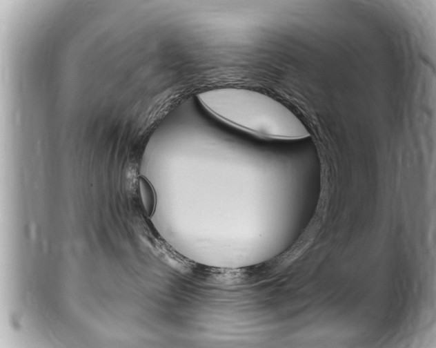 X0000100480288200806130739