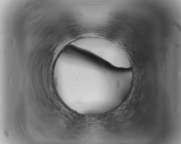 X0000100480289200806130738