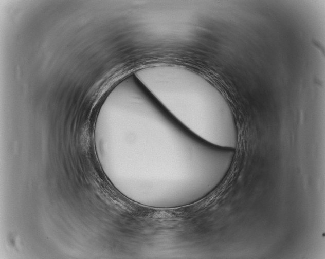 X0000100480290200806130738