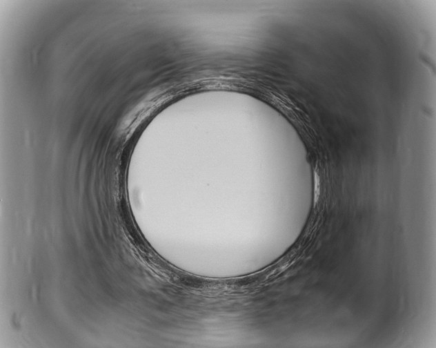 X0000100480291200806130738