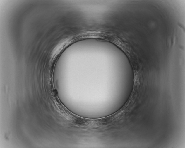 X0000100480293200806130738