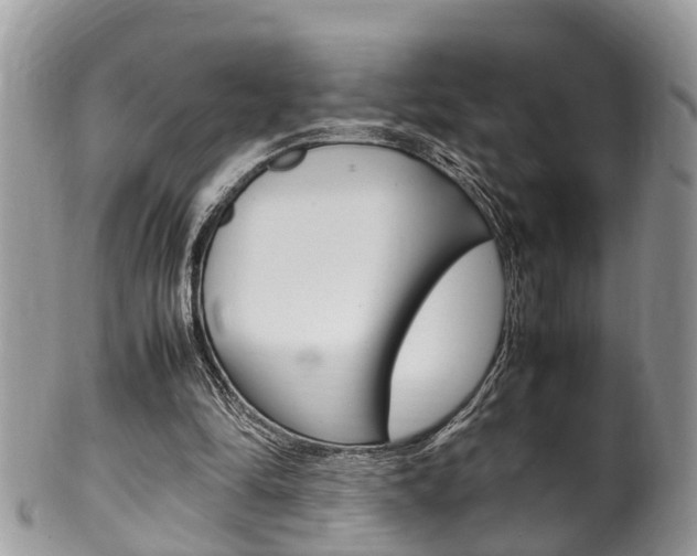 X0000100480294200806130738