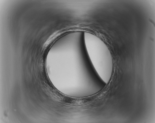 X0000100480295200806130738