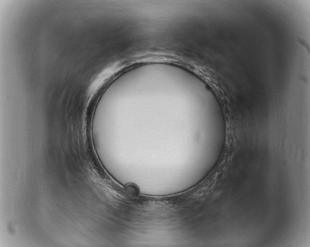 X0000100480296200806130738