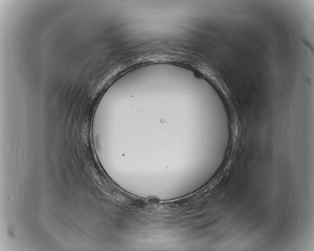 X0000100480297200806130738