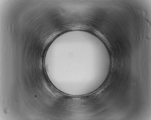X0000100480298200806130738