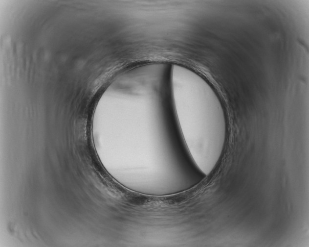 X0000100480299200806130738