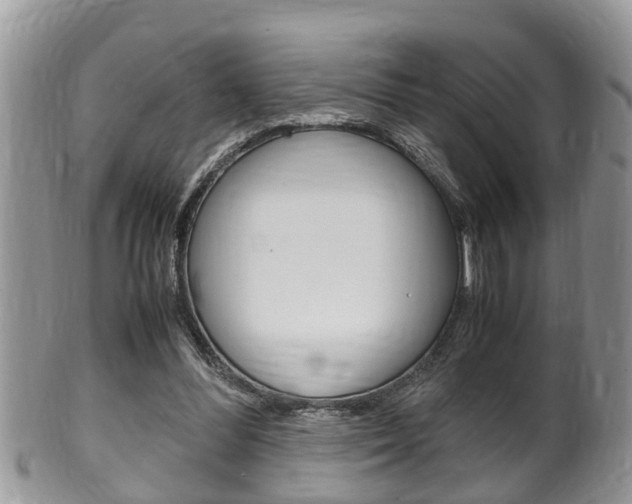 X0000100480300200806130738