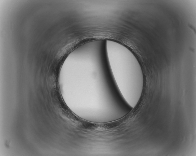 X0000100480303200806130738