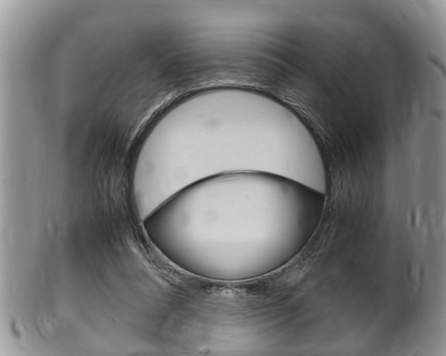 X0000100480304200806130738