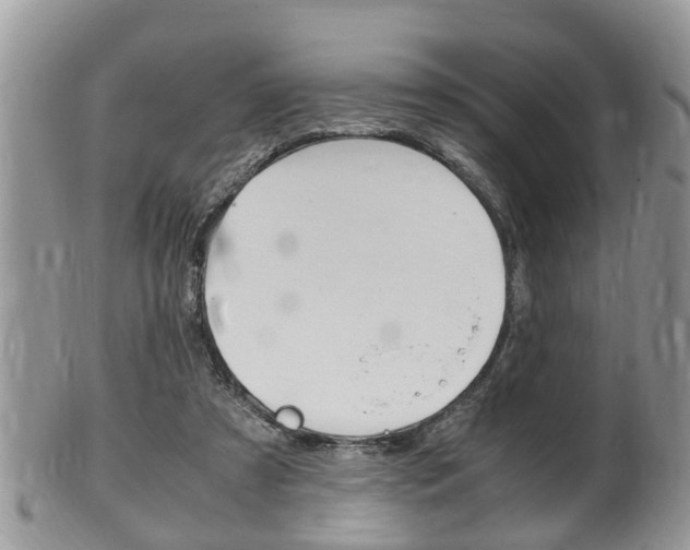 X0000100480305200806130738