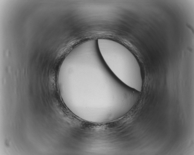 X0000100480306200806130738
