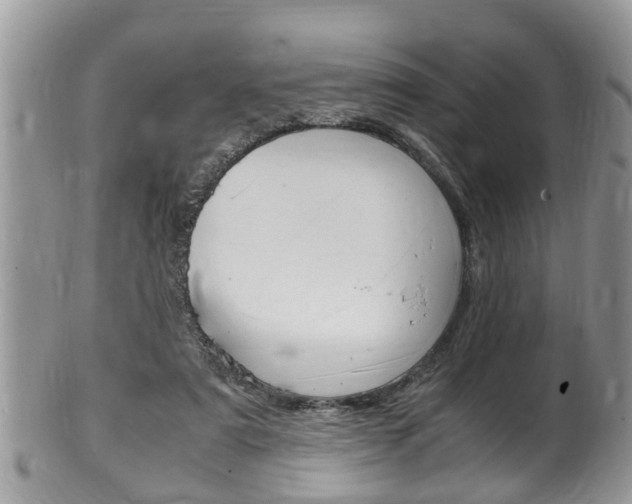 X0000100480307200806130738