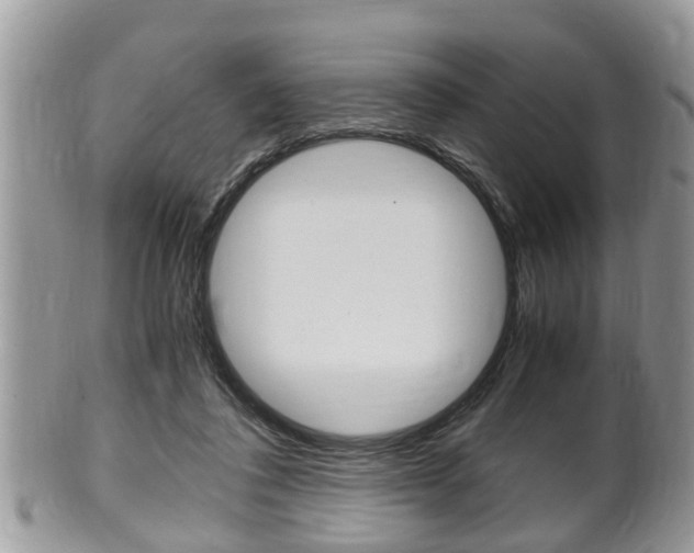 X0000100480308200806130738