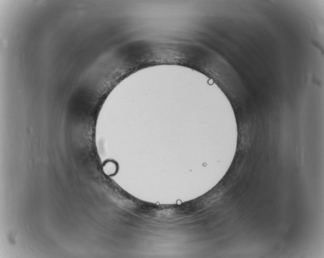 X0000100480309200806130738