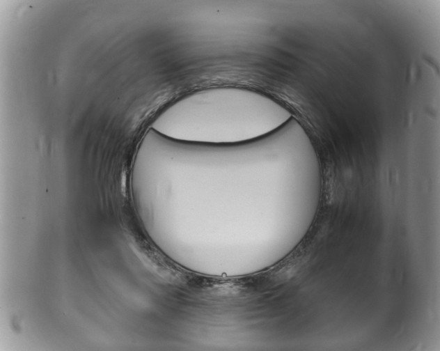X0000100480310200806130738
