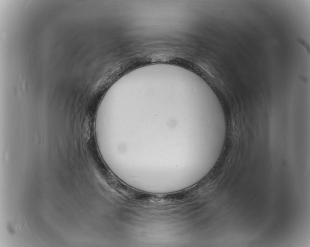 X0000100480311200806130738