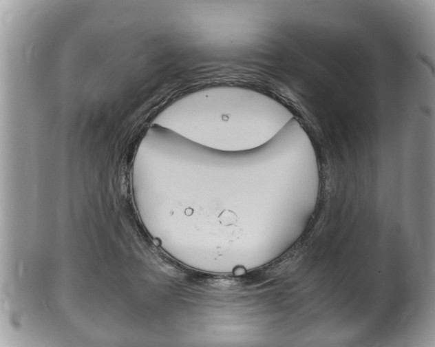 X0000100480313200806130738