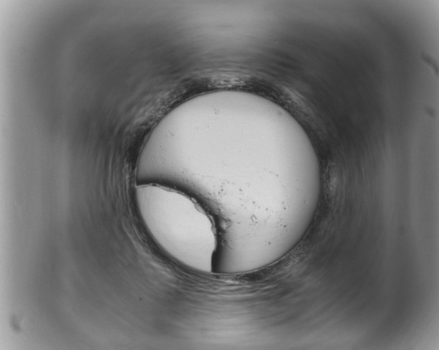 X0000100480315200806130738