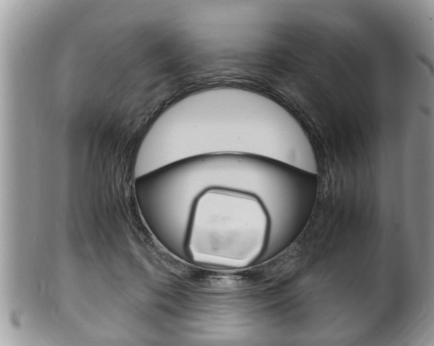 X0000100480316200806130738