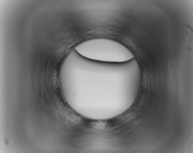 X0000100480318200806130738