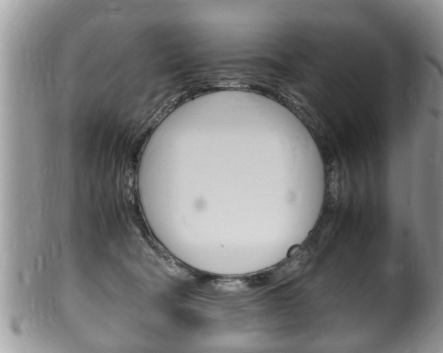X0000100480322200806130738