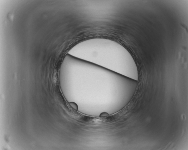 X0000100480323200806130738