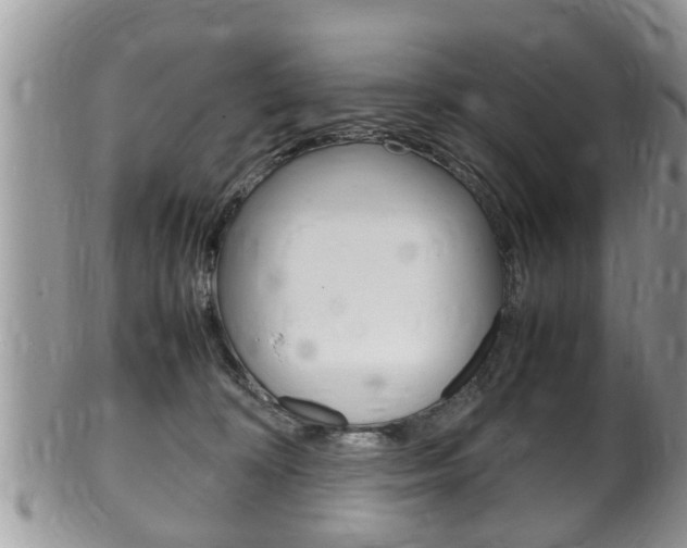 X0000100480324200806130738