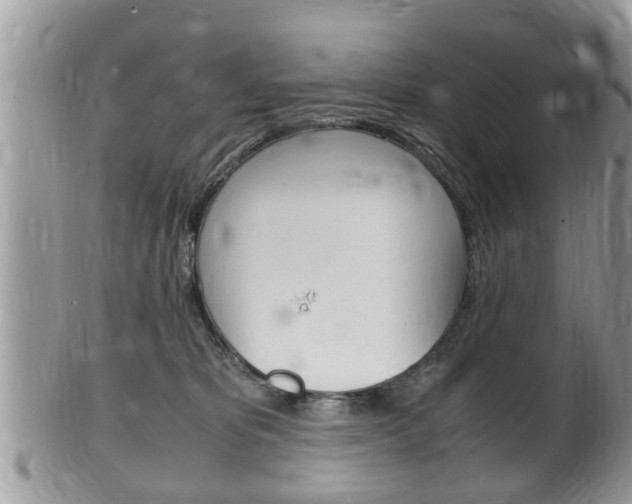 X0000100480325200806130738