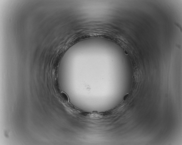 X0000100480327200806130738