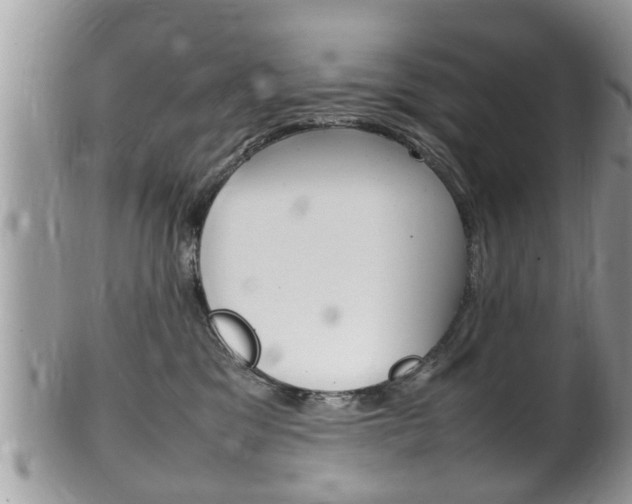 X0000100480329200806130738