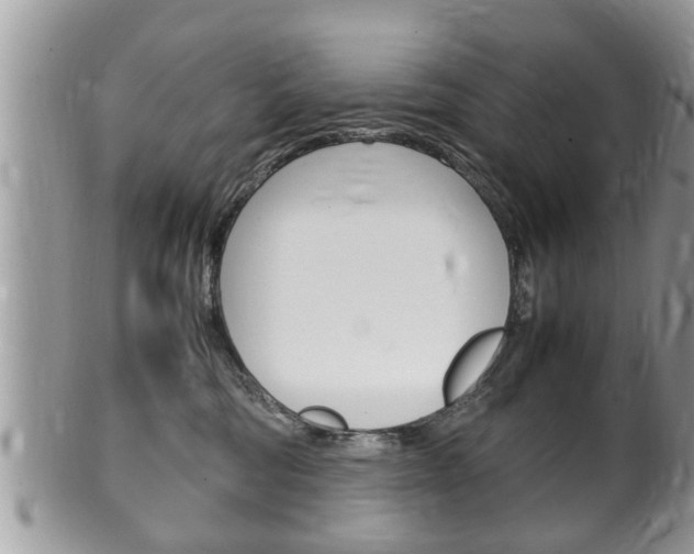X0000100480330200806130738