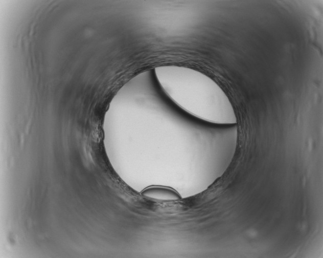 X0000100480331200806130738