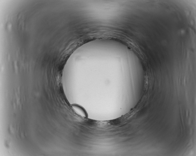 X0000100480333200806130738