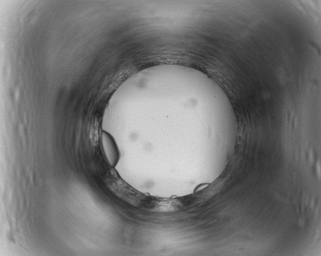 X0000100480334200806130738