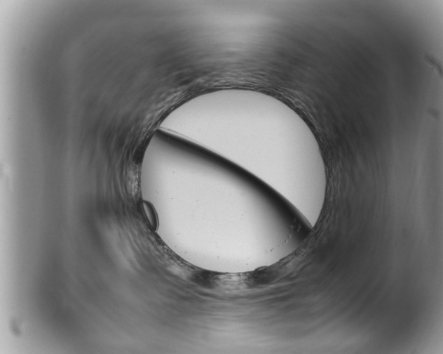 X0000100480335200806130738