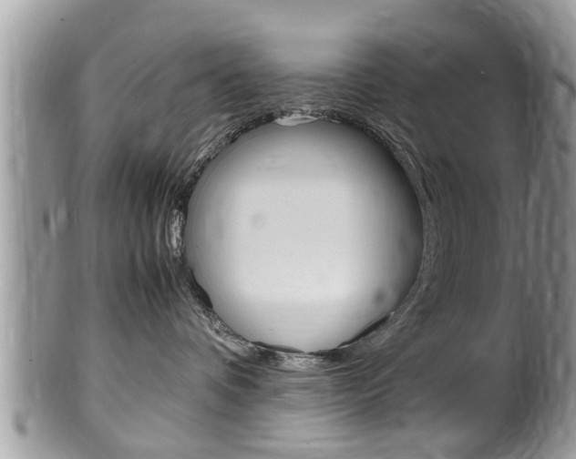 X0000100480336200806130738