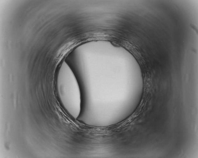 X0000100480338200806130737