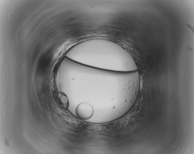 X0000100480339200806130737