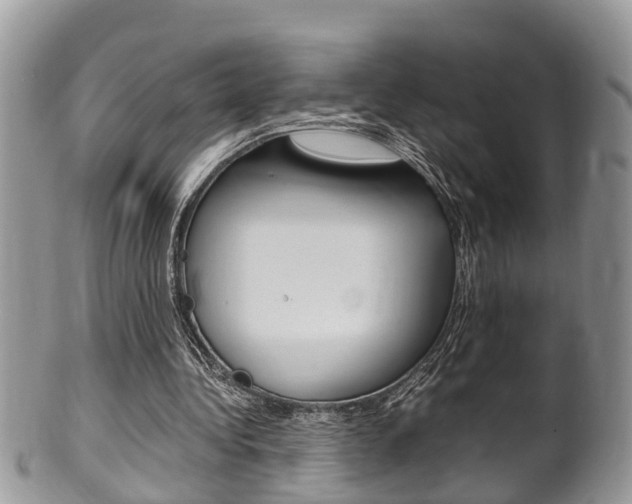 X0000100480340200806130737