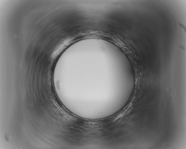 X0000100480341200806130737