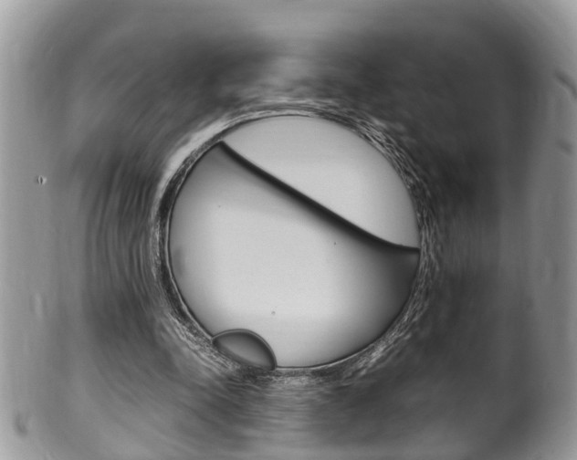 X0000100480342200806130737