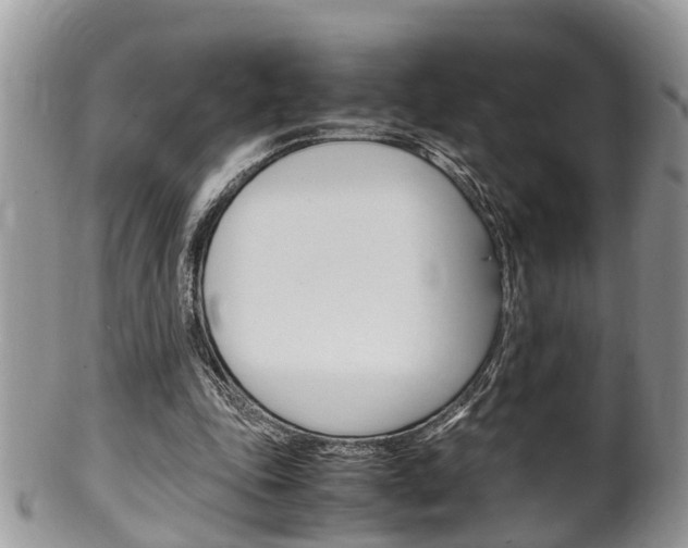 X0000100480343200806130737