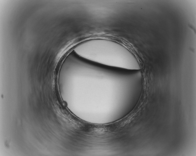 X0000100480344200806130737